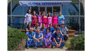 Clinica Veterinaria Costa D'Argento