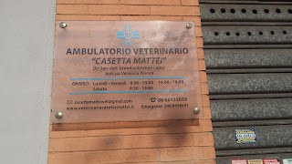 Ambulatorio Veterinario Associato