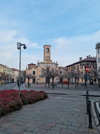 Saronno