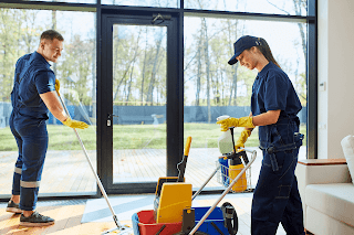 The wolf of cleaning