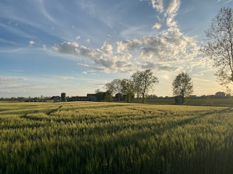 Tenuta di Dragone - Az. Agricola Corsetti