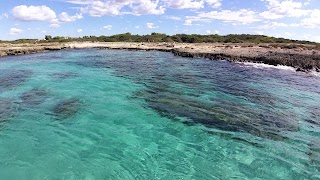 A Mare Salento Minicrociera In Catamarano