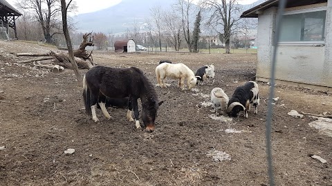 Gostišče Šterk, gostinstvo, d.o.o.