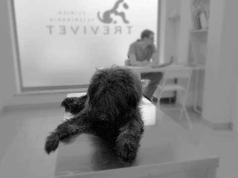 TREVIVET Clinica Veterinaria