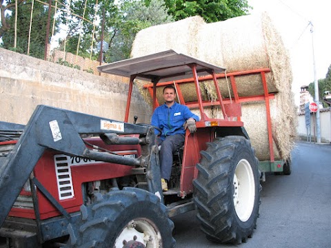 Azienda Agricola Biologica Francesco Testa