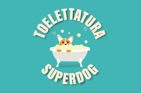 Superdog Toelettatura
