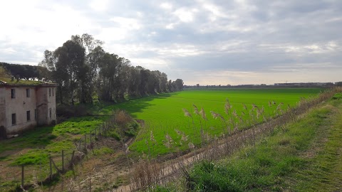 Tenuta di Dragone - Az. Agricola Corsetti