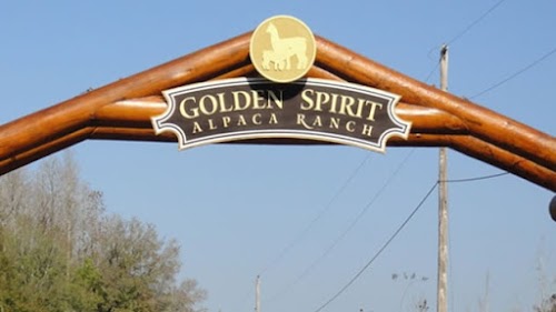 Golden Spirit Alpaca Ranch