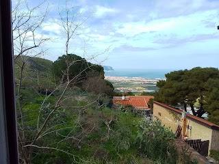 CENTRO MEDICO VETERINARIO DOTT. LORGIO MASSIMO