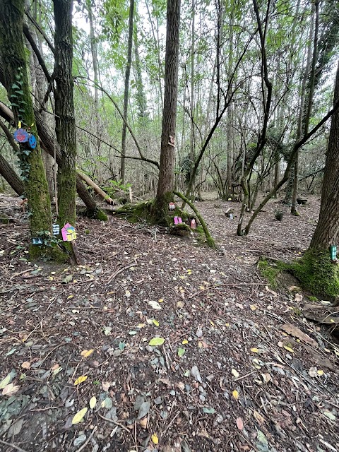 Bosco degli gnomi di Cianigun