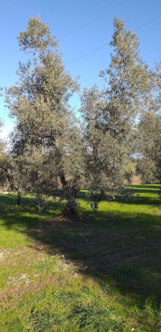 ARSIAL Azienda Dimostrativa Sperimentale di Montopoli in Sabina