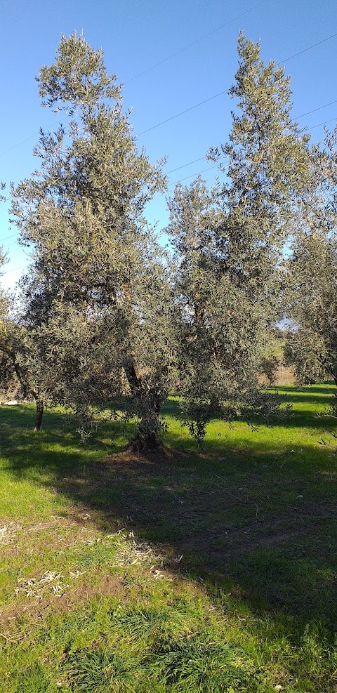 ARSIAL Azienda Dimostrativa Sperimentale di Montopoli in Sabina