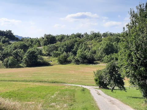 Centro Servizi Monte Bibele