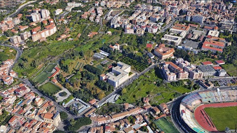 Dipartimento di Agricoltura, Alimentazione e Ambiente - Università degli Studi di Catania