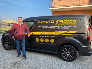 Flauto Magico