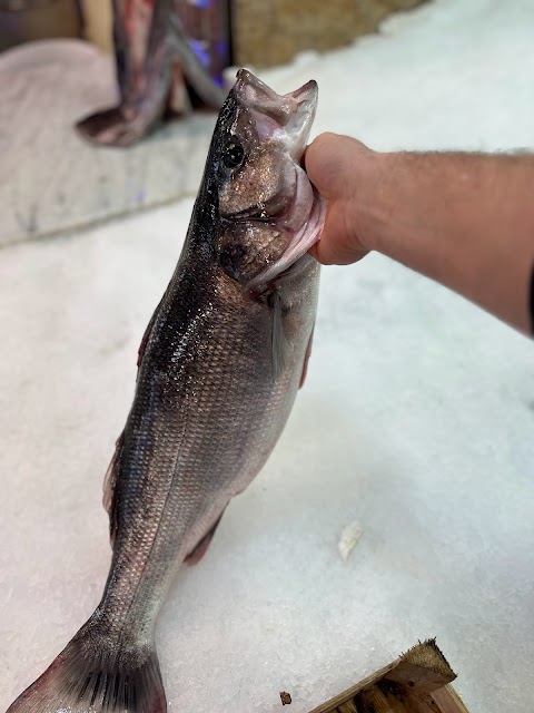 Pescheria La Nassa Di Scardino Giuseppe