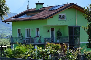 LA CASA NEL VERDE