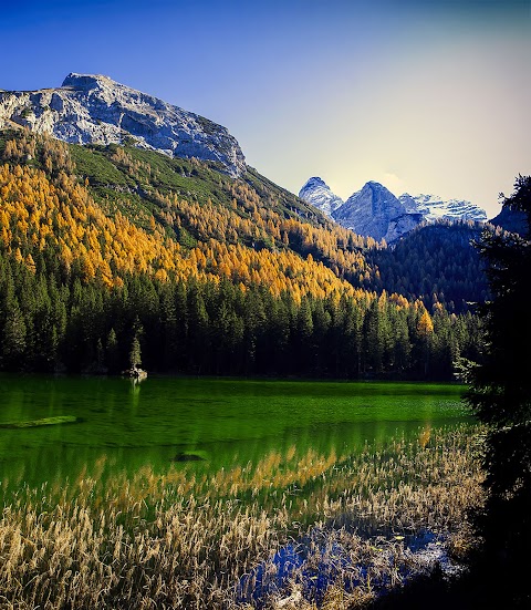 Dolomiti di Brenta House