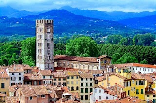 Servizio taxi Lucca municipale