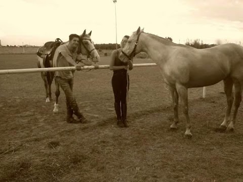 Great Ranch Scuola Di Equitazione passeggiate a cavallo