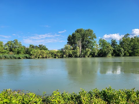 L'Oasi dei Cigni