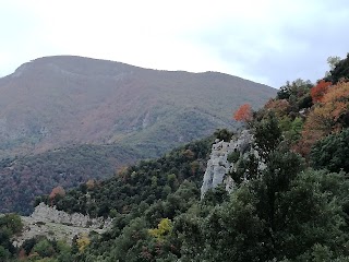 Supino bassa (fontanile Santa Serena)