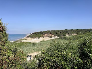 Riserva Naturale Regionale Tor Caldara