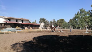 Centro Ippico San Giorgio ASD