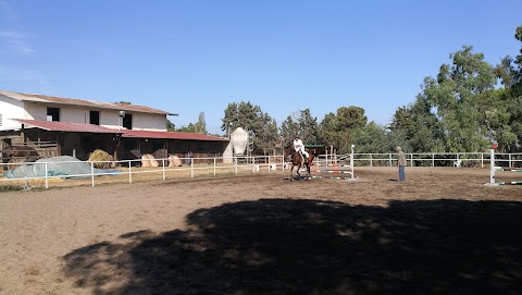 Centro Ippico San Giorgio ASD