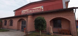 Agriturismo del Gallo