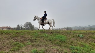 Asd wild horse trekking