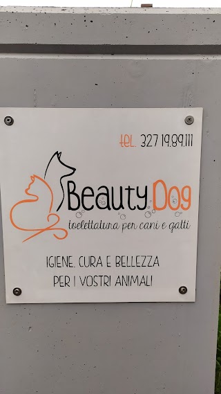 BeautyDog - toelettatura cani e gatti