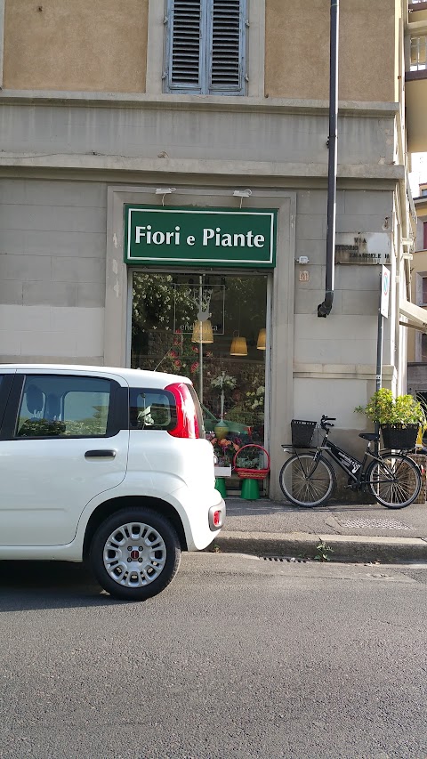 Endemika Fiori e Piante Firenze