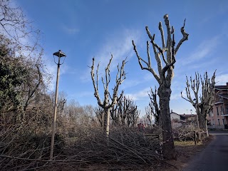 Ospedale degli Infermi