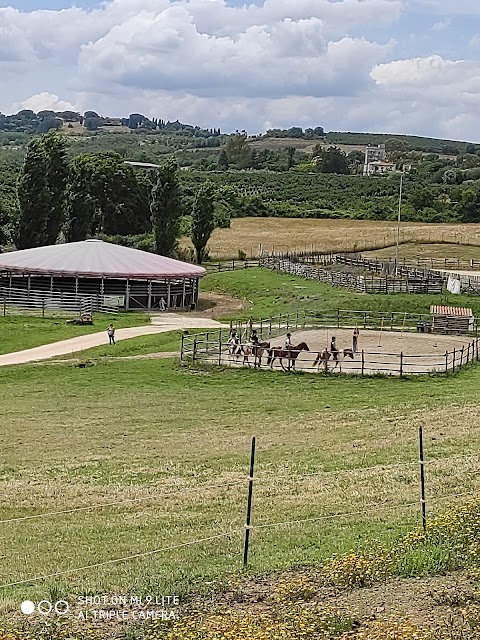 A.S.D. Centro Ippico Fontevivola Ranch