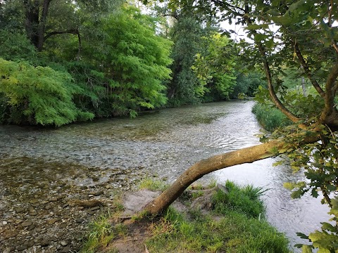 Oasi Fontane Bianche