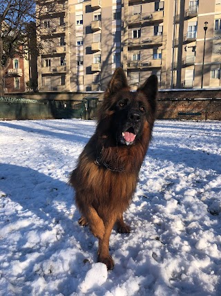 Dog Sitter Francesco