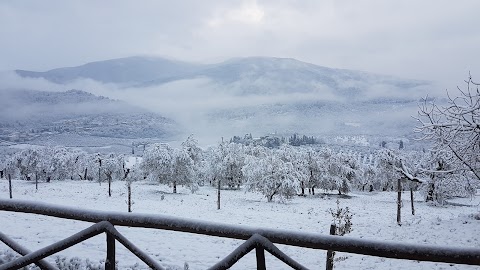 Agriturismo Poggio di Montepescoli