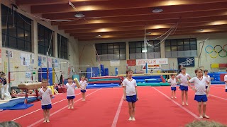 Artistica 81 Trieste Associazione Sportiva Dilettantistica Di Ginnastica