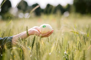 Società Agricola Clara