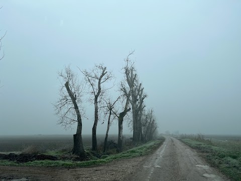 Parco umido della Tomina