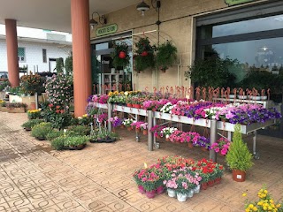 Mercato dei Fiori Dei Fratelli Bolognino