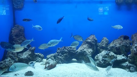 Acquario del Salento