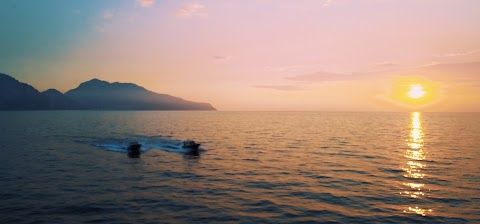 Mamma Mia Sorrento Boat Excursions