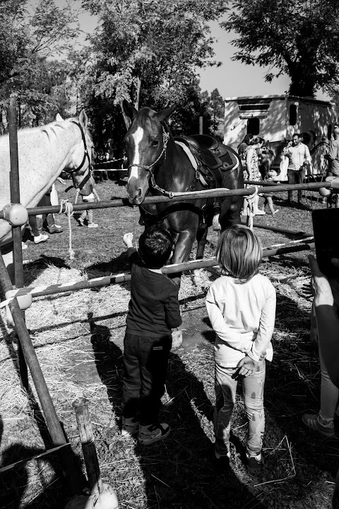 La Millenaria Fiera Di San Luca di Impruneta