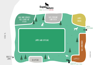 Supernatura Dog Training Center ( campo addestramento)