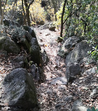 Sentieri Cacumenali del Monte Lonzina