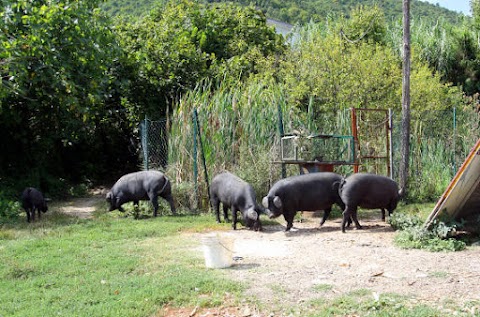 Agriturismo Le Fontanelle di Maria Di Maula