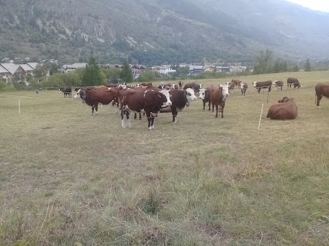 Compagnie Fermière Des Grands Bains