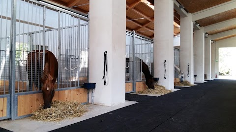 La Prospera Centro Equestre